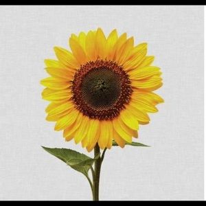 Meet your Posher, Monica